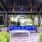 a patio with a bench and a covered area with trees and bushes