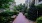 a brick walkway between buildings